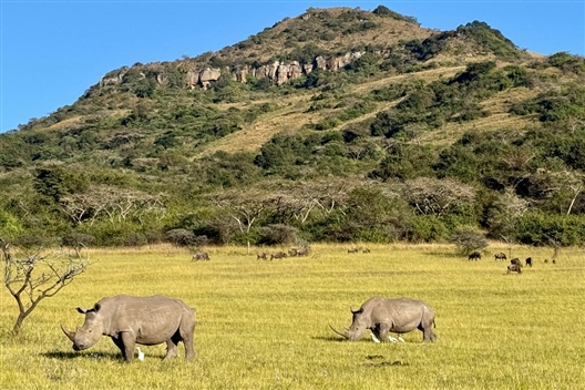 ROCKJUMPER DRIVE (Karkloof Spa)